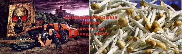 гашиш Ельня