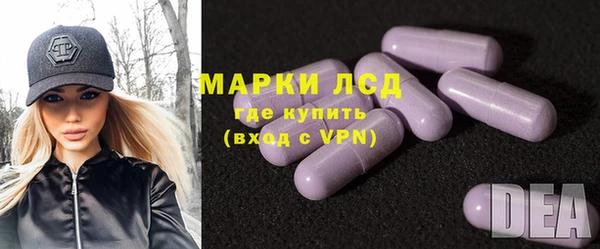 ECSTASY Елизово