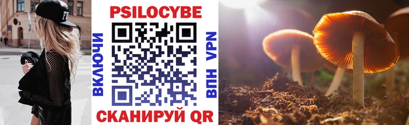 дарнет шоп  Саянск  Псилоцибиновые грибы Psilocybe 